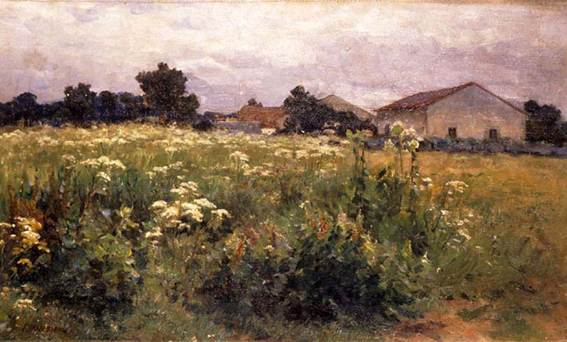 Grassy Field